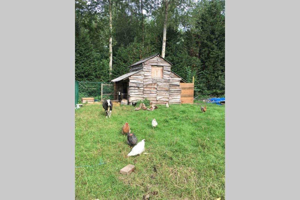 Cozy Studio On A Quaint Farm Διαμέρισμα Kruibeke Εξωτερικό φωτογραφία